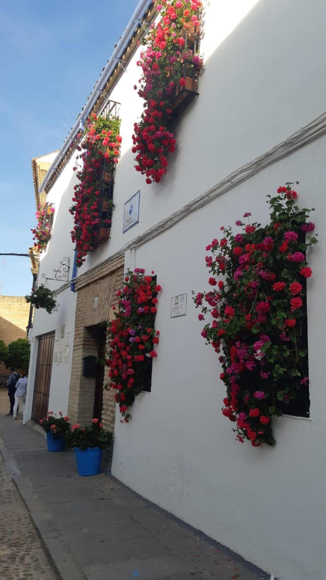 El Rincon De Jesus Y Loli Appartement Córdoba Buitenkant foto